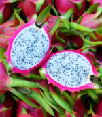 Dragon Fruit plant Red - Image 3