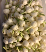 Kundu / Normal malli - Image 4