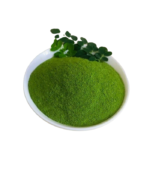 Murungai leaf dried - 1kg - Image 2